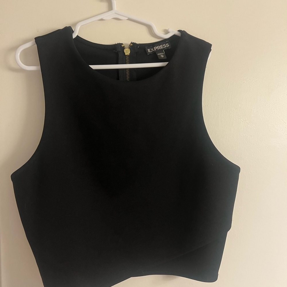 Express Black Fitted Crop Tank Top
